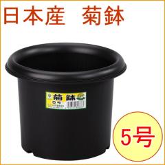 �e�� 5�� �u���b�N 40�� ���{�� �P�[�X�o�� ���| �K�[�f�j���O �K�[�f�� �� �A�ؔ� �͔| �v���X�`�b�N