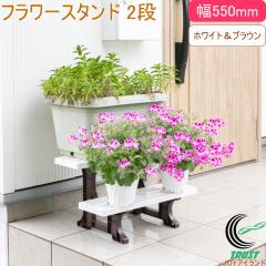 �t�����[�X�^���h 2�i 550mm�� �c�[�g�� SV-3369 ���{�� ���| ���|���b�N �t�����[�X�^���h �K�[�f�j���O �K�[�f�����b�N ���u�� �A�ؔ� 