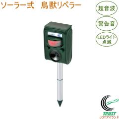 �\�[���[�� ���b���y���[ SV-7015 �������� �\�|���|�[�d ���ފ� ���b ������ �ʎ��� �� �� �A�E�g�h�A �����g �x����