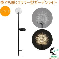 ��ł��炭�t�����[�^�K�[�f�����C�g 1�� SV-7978 ���| �K�[�f�j���O �� ���� �K�[�f�����C�g ���C�g �C���~�l�[�V���� �\�[���[�� ��
