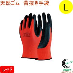 13�Q�[�W�V�R�S�� �w������� ���b�h L�T�C�Y A-371 �l�R�|�X�Ή� ��� ��Ɨp ��� ��Ɨp��� �^�� �ב��� �o�׍�� �_���