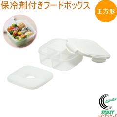 �A�N�e�B�A �ۗ�ܕt�t�[�h�{�b�N�X �����` D-6509 �ٓ��� ���ٓ��� �����`�{�b�N�X �ۑ��e�� 600ml �ۗ�ܕt�� �d�؂�t�� �����` �l�p 