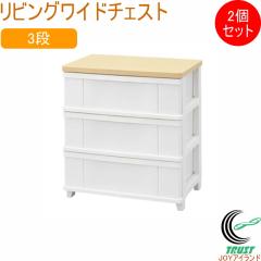 ���r���O���C�h�`�F�X�g 3�i �z���C�g 2�Z�b�g SLW-603WH ���{�� ���[�P�[�X ���[�{�b�N�X �ߑ��P�[�X �ߑ��{�b�N�X ���o�� �����o�� 