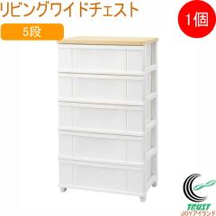 ���r���O���C�h�`�F�X�g 5�i �z���C�g 1�� SLW-605WH ���{�� ���[�P�[�X ���[�{�b�N�X �ߑ��P�[�X �ߑ��{�b�N�X ���o�� �����o�� �P�[