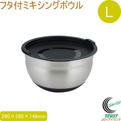 �t�^�t�~�L�V���O�{�E�� L 1�� �W�t�� �X�e�����X�� ����ɂ��� �ڐ���t�� ������ ������� ������������ SALUS