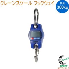 ���[���h�{�X �N���[���X�P�[�� Hookweigh �t�b�N�E�F�C DCS-300 �͂��� ���� �v�� �X�P�[�� �f�W�^�� �݂�΂��� �_�� �_�앨 �엿 �� 