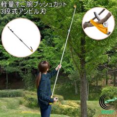 �y�ʂ����r�v�b�V���J�b�g3�i���A���r���n No.530 ���}���� ���}�؂�΂��� ���n �ʎ� ���}�؂� �R���p�N�g �y�� ���T�V