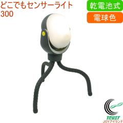 �ǂ��ł��Z���T�[���C�g 300 �iASL-097�j �������� ���� ���O �A�E�g�h�A �d�r LED �Z���T�[ ���C�g �����d�� �Ɩ�