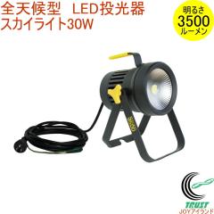 �S�V��^ LED������ �X�J�C���C�g 30W �iWT-2500�j �������� ���� ���O �A�E�g�h�A ��Ɠ� ������ LED ���C�g �Ɩ�