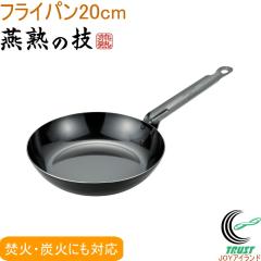 ���n�̋Z �v���X�^�C�� �t���C�p�� 20cm EJTP-300 �������� ���{�� ���O���Y 200V�EIH�Ή� ���� �Y�� �S��