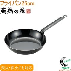 ���n�̋Z �v���X�^�C�� �t���C�p�� 26cm EJTP-400 �������� ���{�� ���O���Y 200V�EIH�Ή� ���� �Y�� �S��