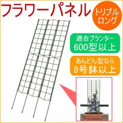 �t�����[�p�l���@�g���v�������O�@�K�[�f�j���O �ƒ�؉� �ϗt�A�� �x��