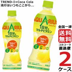 ANGAX 1̃}`r^~ 500ml PET 2P[X ~ 24{ v 48{  RJR[В ň