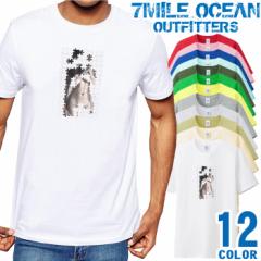 Y TVc  vg AJW 傫TCY 7MILE OCEAN S |Cg