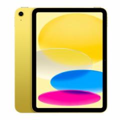 ySI1ۏؕtzyϕiziPad 10.9C` 10 Wi-Fi 256GB MPQA3J/A CG[