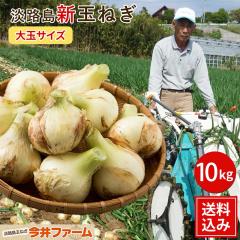 �y�\��z�W�H���ʂ˂� ��ʃT�C�Y 10�L���@�W�H�� �ʂ˂� ���܂˂� �^�}�l�M �ʔK �W�H #��ʂ��܂˂�10�j(2L/L�T�C�Y)# ���܂˂� 10kg 