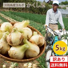 �y�\��z�V�ʂ˂� �W�H�����܂˂��������ʁy�󂠂�z5kg ���������ʖ󂠂�5�j�� �W�H�� �ʂ˂� ���܂˂� �ʔK ���܂˂��K �ʂ˂� �V�� �y