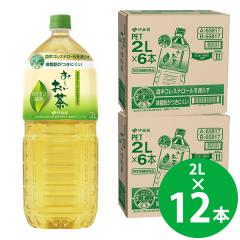 【特定保健用食品】伊藤園 お〜いお茶 カテキン緑茶 PET 2L×12本 (6本×2ケース) (送料無料) トクホ 特保 ガレート型 カテキン コレステ