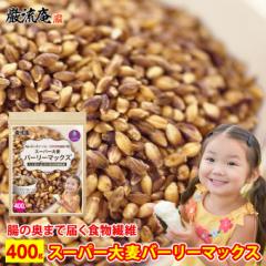 「 カズレーザーと学ぶ 」で紹介! 対象店舗 スーパー大麦 バーリーマックス 400g 食物繊維 レジスタントスターチ ハイレジ 大麦 もち麦