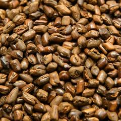 ɐ ے nu 100% ͂Ԓ 1kg i nu̎ q PcCV N j