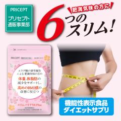 �v���Z�v�g �X�����o���AV6Plus �@�\���\���H�i 30��30���� �P�i �䂤�p�P�b�g�z���@�̏d �̎��b �����������b �������b �E�G�X�g���͌a 