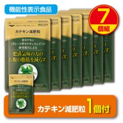 ���Ԍ������+1�t�@���������@�얞�C���̕��̂����̎��b�����炷 �J�e�L�����엱 �@�\���\���H�i�@60��30�����@7�g�@���^�C�v�@�Β�