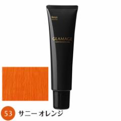 【送料無料】 ホーユー グラマージュ 150g 53 サニーオレンジ ヘアマニキュア