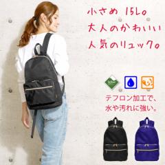 �����b�N ���f�B�[�X �����b�N�T�b�N ������ 15L �֗��ȃ|�P�b�g 10�� [�e�t�������H�ŝ����E�h��] �ʋ� �ʊw ���s �o�b�O �J�o�� �� �l