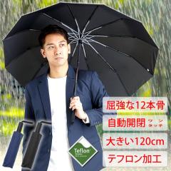 ���肽���ݎP �����Y ���f�B�[�X ������12�{�� �����J�� {�e�t�����ŝ����E�h���E�h��} �܂肽���� �P �傫�� �J�P ���肽���ݎP ���P uv