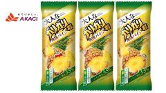 �ԏ���Ɓ@�A�C�X�@ ��l�ȃK���K���N�@ �썑�p�C���@100�����~24�{��  �@���������i�k�C���E��B�͏�������E���������s�j