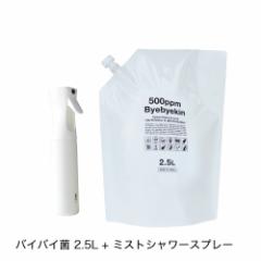 ���� �d�𐻖@ �������f�_ 500ppm ���_�� pH5.8 �o�C�o�C�� 2.5L + ������ �~�X�g�X�v���[ ��t�ďC �������� ��߉\�^�C�v �������f�_