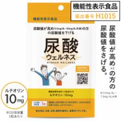 ���߂� �A�_�l�������� ���e�I���� �T�v�������g �T�v�� ��t�ďC �@�\���\���H�i �A�_�T�|�[�g ���� �z�� ���N�H�i �A�_�l �A�_ �v����