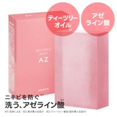 �A�[���C���_ ��� �Ό� �Ō` �\�[�v ��痿 �A �v���X�L���C �o�����X�\�[�vAZ 100g ���[���� �ߏ�Ȕ玉�ɂ��e�J���E�x�^���� �e�B