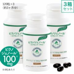 �s�N�m�W�F�m�[�� �T�v�� �G�N�Z�����g�v���X 120�� 3���Z�b�g 90���� �t�����X�C�ݏ�����G�L�X ���e�N���j�b�N ��t�ďC �T�v�������g