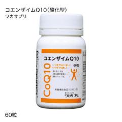 ���J�T�v�� �R�G���U�C��Q10�i�_���^�j60��