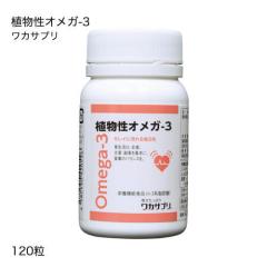 ���J�T�v�� �A�����I���K-3 120��