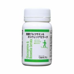 ���J�T�v�� ���y�O���R�T�~�����{�X�E�F���A�Z���[�^ 120��