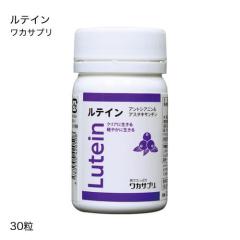 ���J�T�v�� ���e�C�� �A���g�V�A�j�����A�X�^�L�T���`��[ ���J�T�v�� ���e�C�� �A���g�V�A�j�����A�X�^�L�T���`�� ]