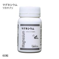 ���J�T�v�� �}�O�l�V�E�� 60�� ��z��