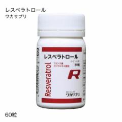 ���J�T�v�� ���X�x���g���[�� 60��