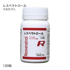 ���J�T�v�� ���X�x���g���[�� 120��