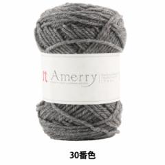 秋冬毛糸 『Amerry (アメリー) 30番色』 Hamanaka ハマナカ