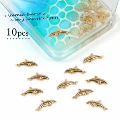 �`���[�� 10�� �V���` �y�X������J�������`���[�� ���ꂢ�߃S�[���h ������ �N�W�� ���� �}���� �C �� �n���C ���W�� �\��t�� �l�C���p