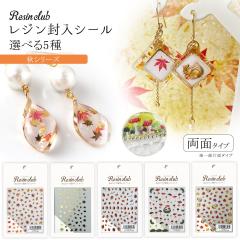 �V�[�� ���W���N���u ���W�������V�[�� ���ʃ^�C�v �H �g�t �����t �ǂ񂮂� ���̂� �X �a�� ���ʈ�� ���� �����p�[�c UV���W�� �N���t