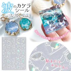 �V�[�� ���W���V�[�� �L���L�����ʃV�[�� �z���O���� ���� �N���A �g �A �C �}���� �� �� ���� �\��t���p�[�c UV���W�� �N���t�g �n���h