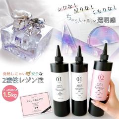 ������������ ��e�� 2�t�����W���t 1.5kg NEW�A�N�A���W��1�F2 GreenOcean �G�|�L�V���� ��t���G�|�L�V���W���t �N���t�g ��| �e�[�u