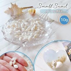 ���R�f�� 10g �{���̏����Ȋ��L ���W�������f�� �����p�[�c �V�F�C�J�[ �f�R�p�[�c ������ �����L�k �����L �C �}���� �� ���� UV���W�� 