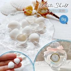 ���R�f�� 8g �{���̏����Ȕ����L�k ���W�������f�� �����p�[�c �V�F�C�J�[ �f�R�p�[�c ������ �V�F�� �񖇊L �C �}���� �� ���� UV���W��