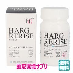 HGCYi60jn[OCY HARG RERISE  Tvg ()