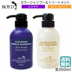 (Zbg) Ch J[Vv[ TL 300ml{Jo[ L[vg[gg 300ml@()